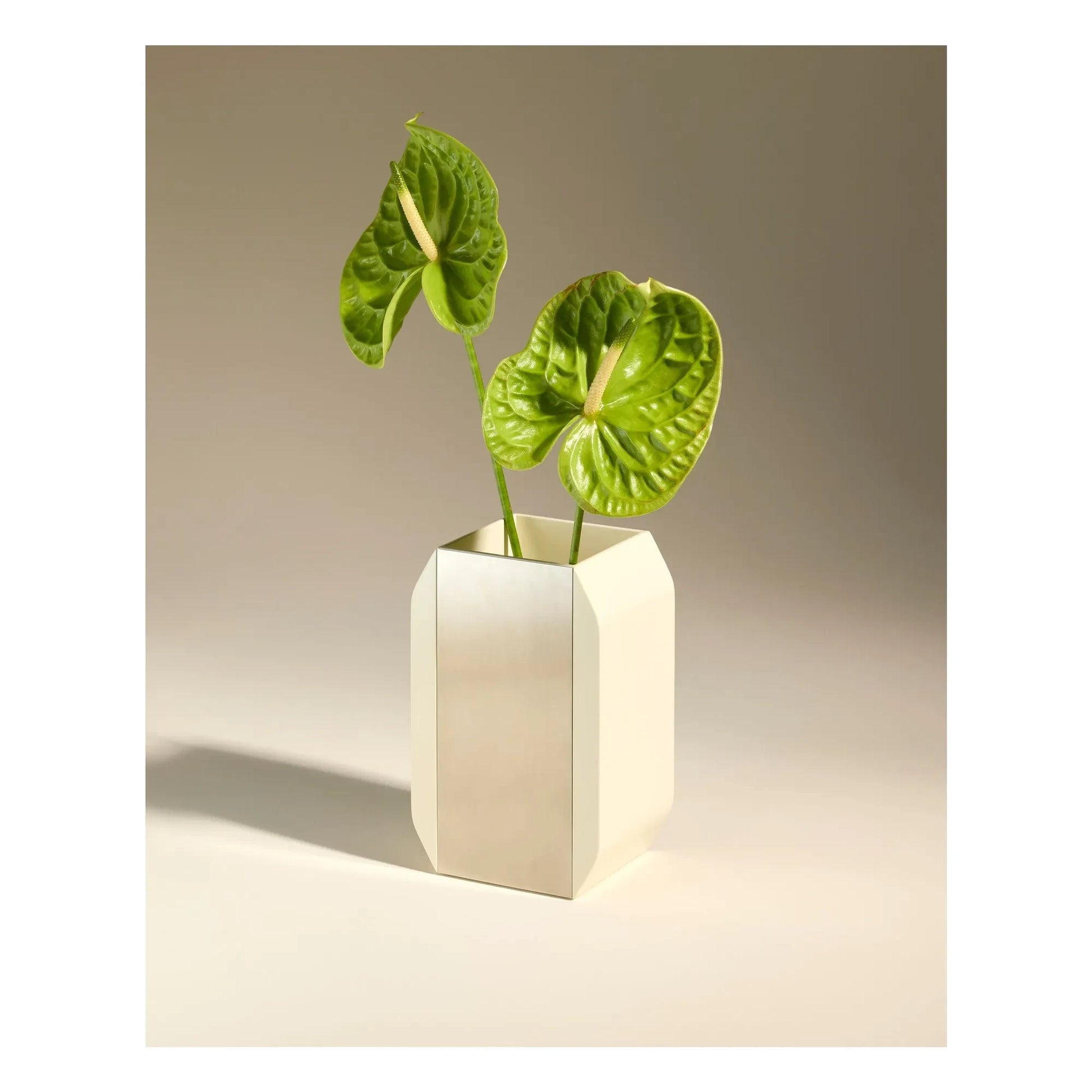 Maison Sarah Lavoine - Oscar vase | Ecru