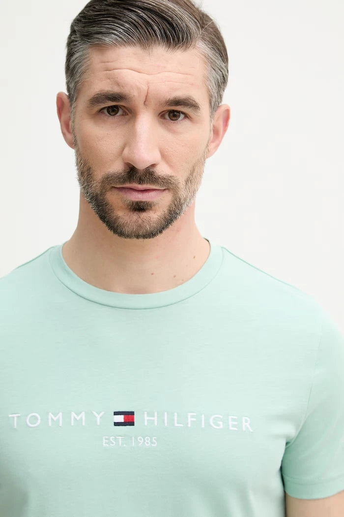 Tommy Hilfiger erkek pamuklu tişört