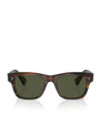 Oliver Peoples Brown Acetate Birell Sun Sunglasses
