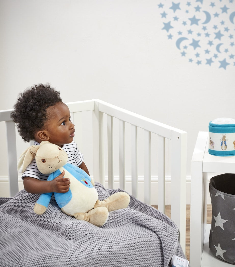 Peter Rabbit Bedtime Cuddles Set (36cm)