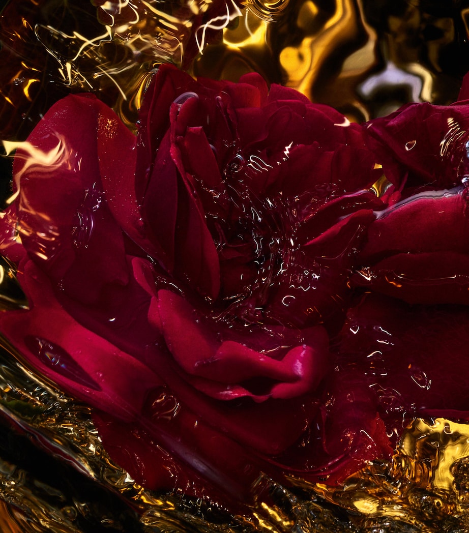 Absolus Allegoria Rose Amira Eau de Parfum (125ml)