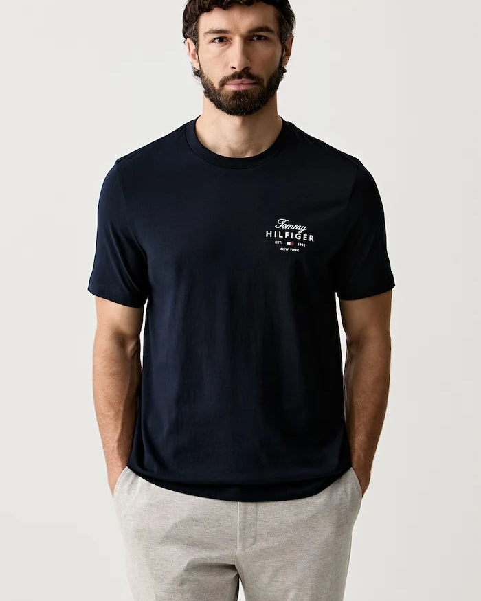Tommy Hilfiger erkek pamuklu tişört