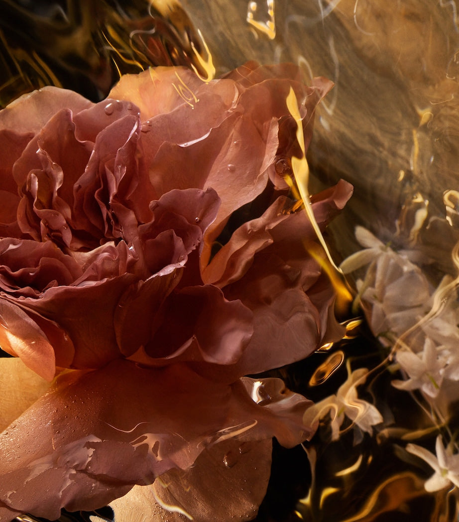 Absolus Allegoria Santal Royal Eau de Parfum (125ml)