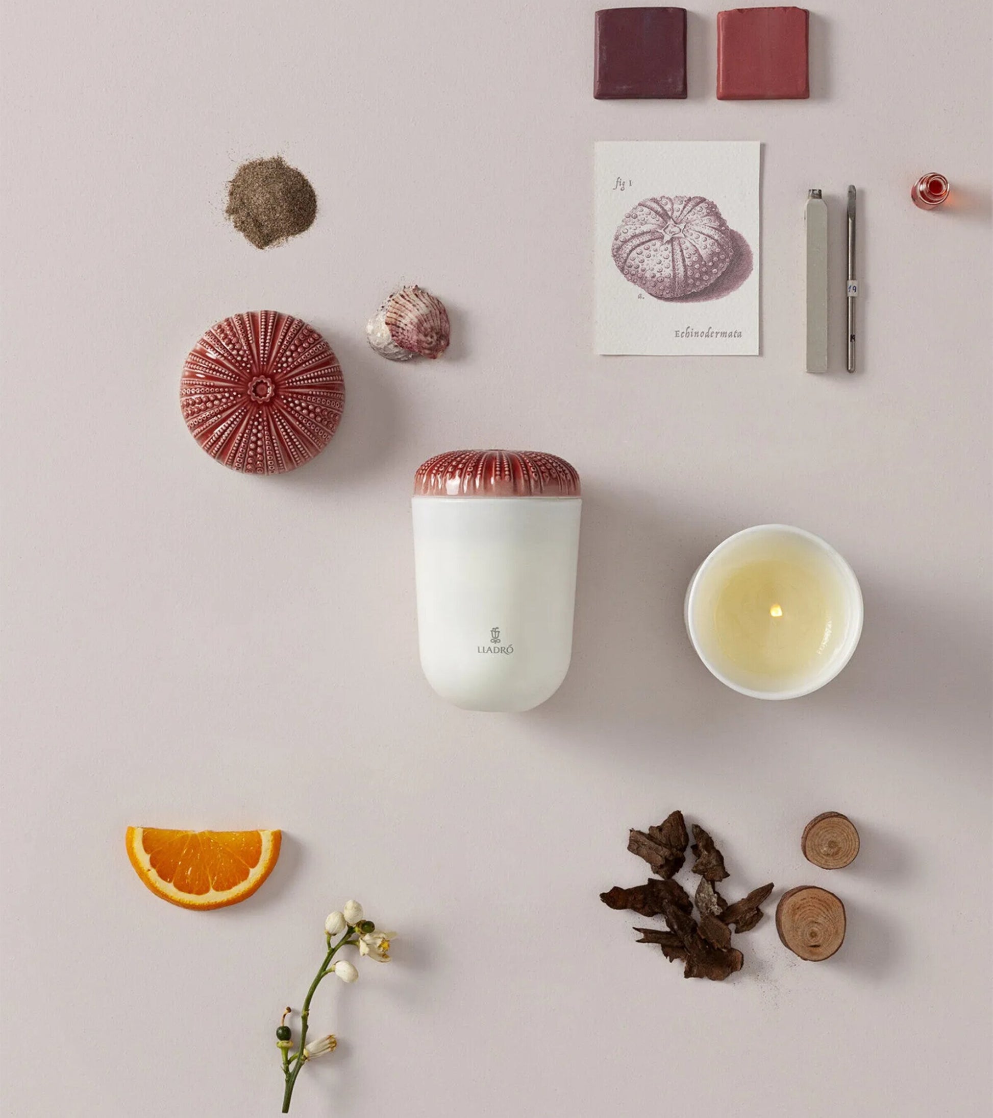 Lladró Mediterranean Beach Echoes of Nature Candle (200g)