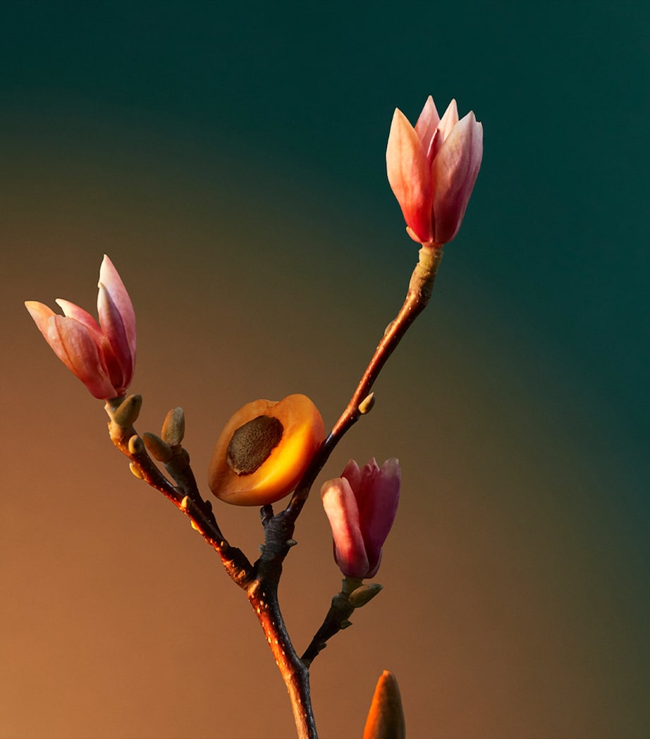 Vra Vra Vroom Eau de Parfum (100ml)