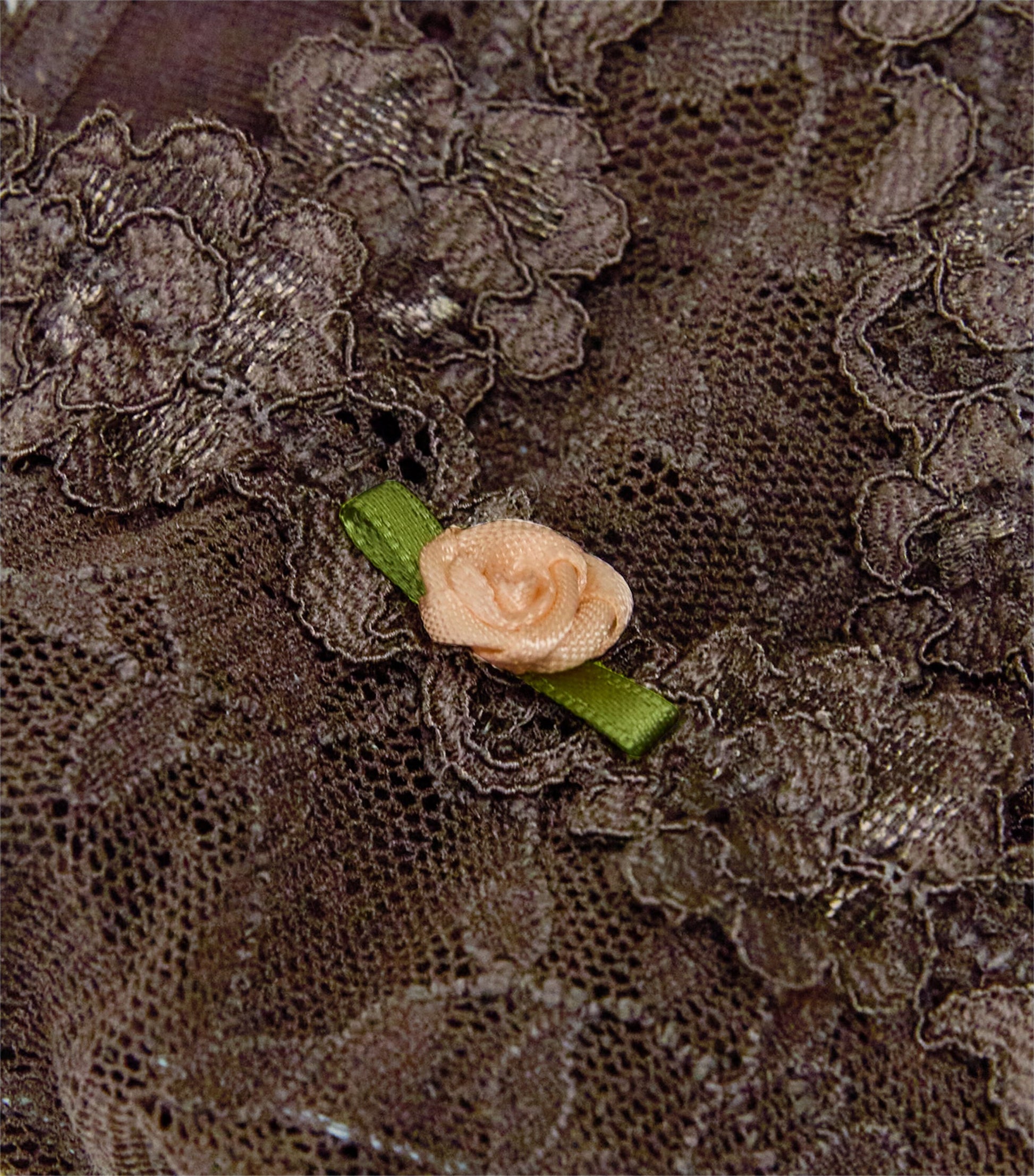 Skims Brown Stretch Lace Dipped Thong