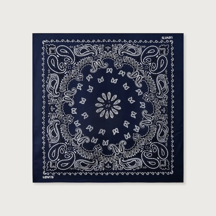 Kadın XL SILKY Şal