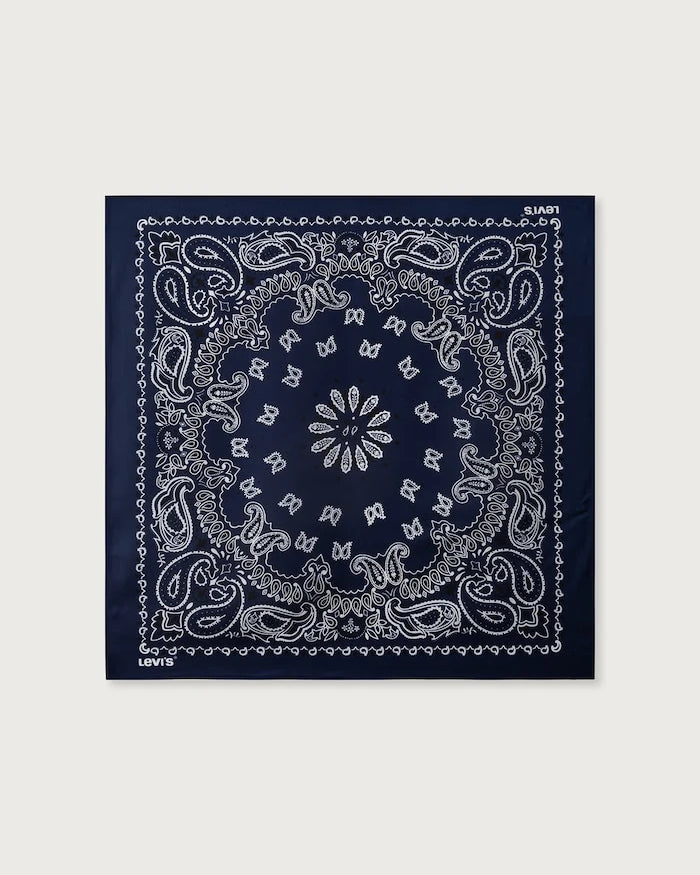 Kadın XL SILKY Şal
