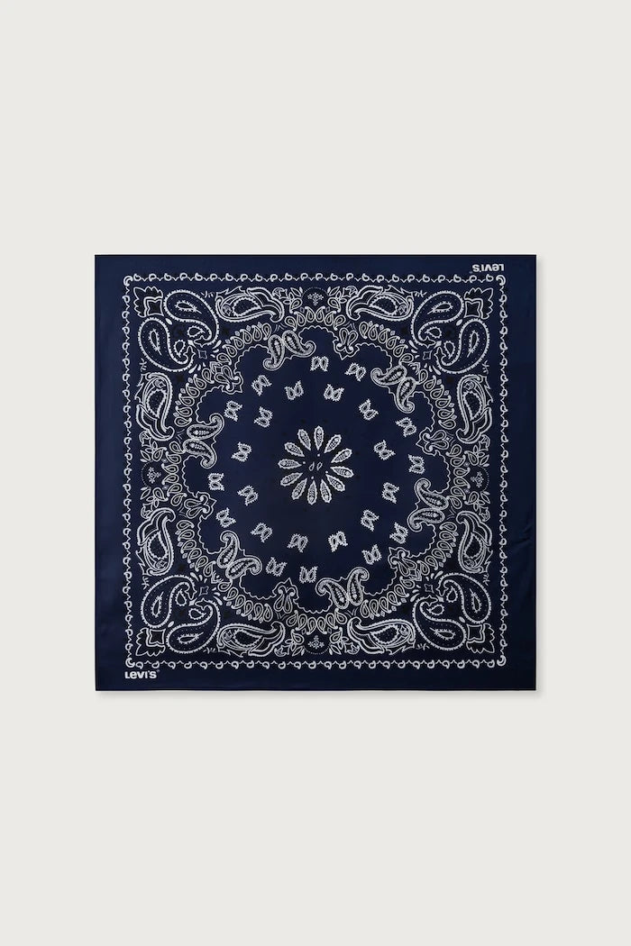 Kadın XL SILKY Şal