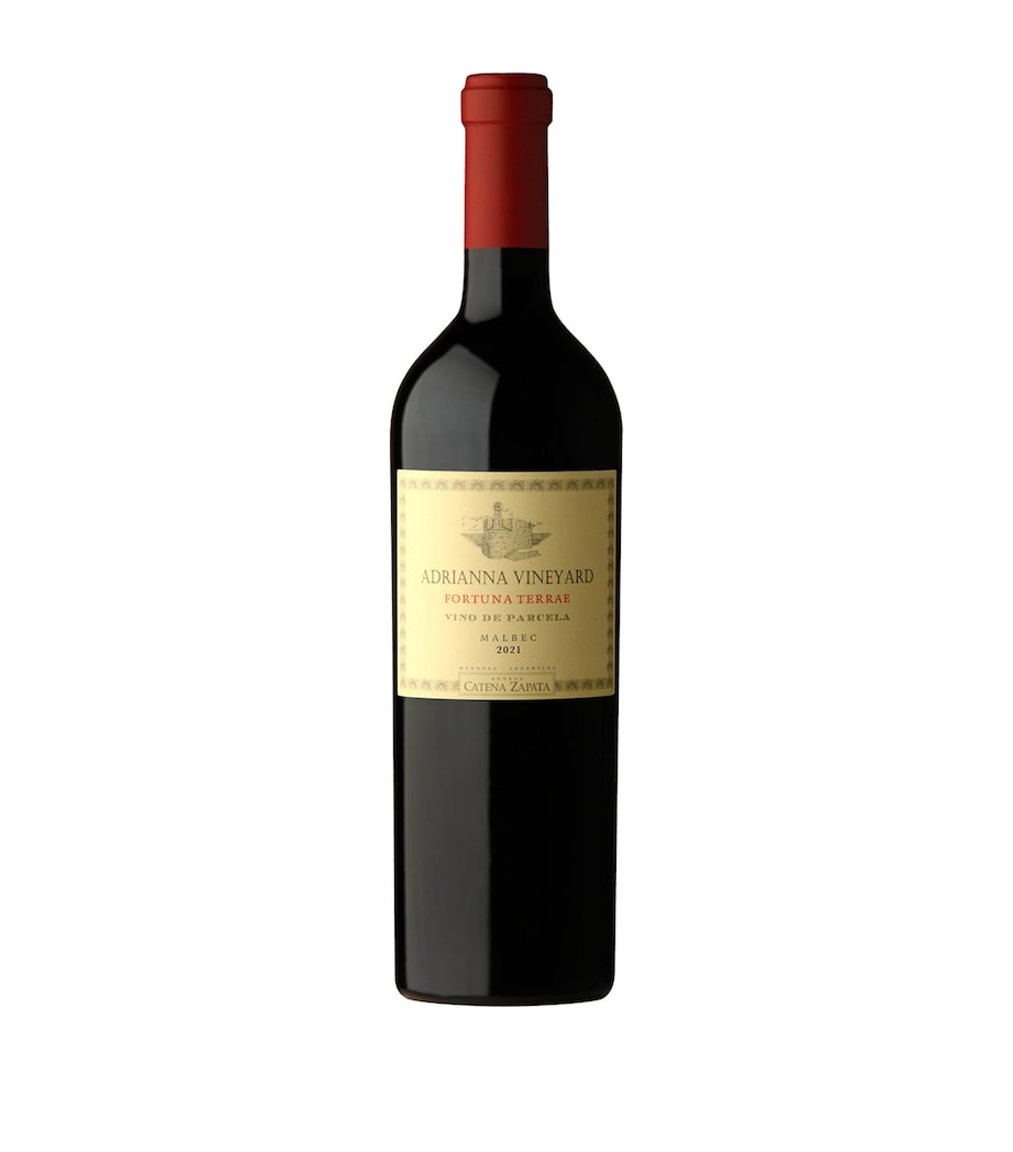 Catena Adrianna Vineyard Fortuna Terrae Malbec 2021 (75cl) – Mendoza, Argentina
