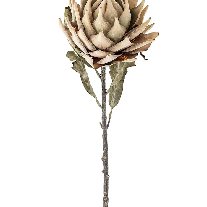Изкуствени цветя Bloomingville Protea Stem 76 cm