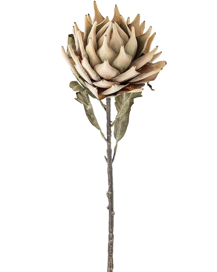 Yapay Çiçekler Bloomingville Protea Dalı 76 cm