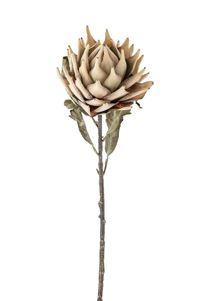 Yapay Çiçekler Bloomingville Protea Dalı 76 cm