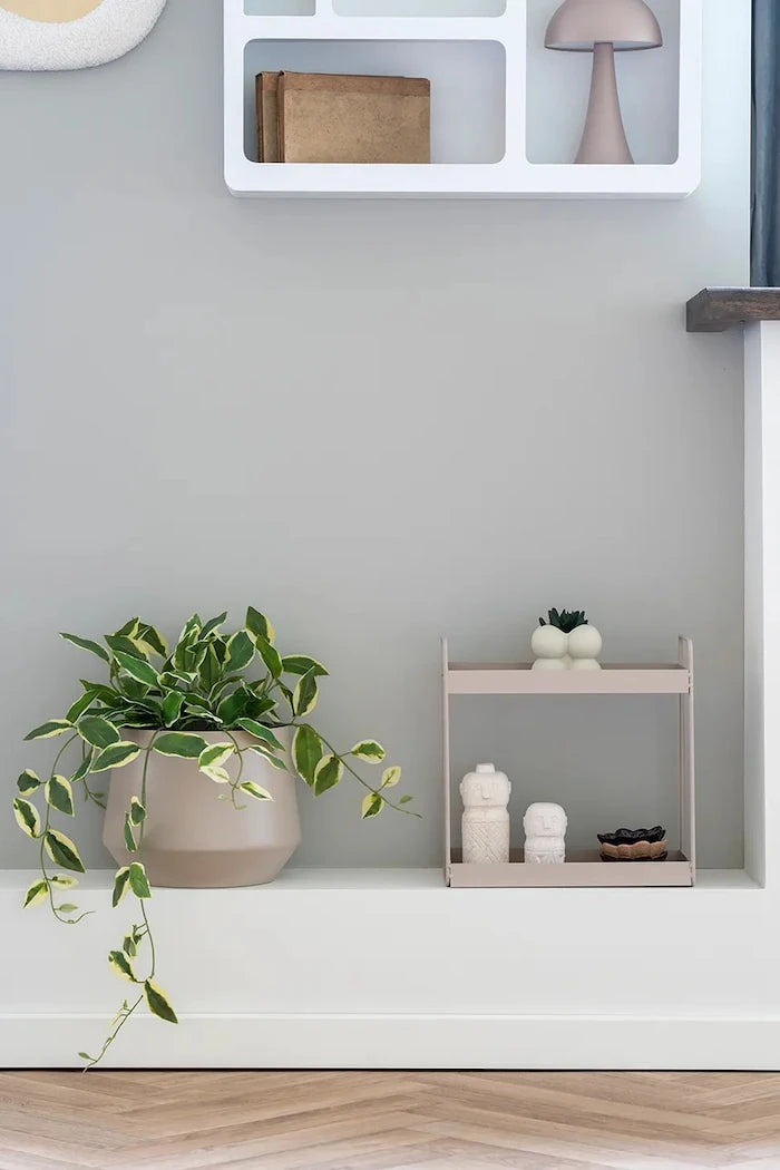 House Nordic Rabo Raf