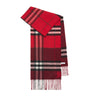 Cashmere Contrast Check Scarf