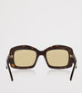 Brown Acetate Venetia Sunglasses