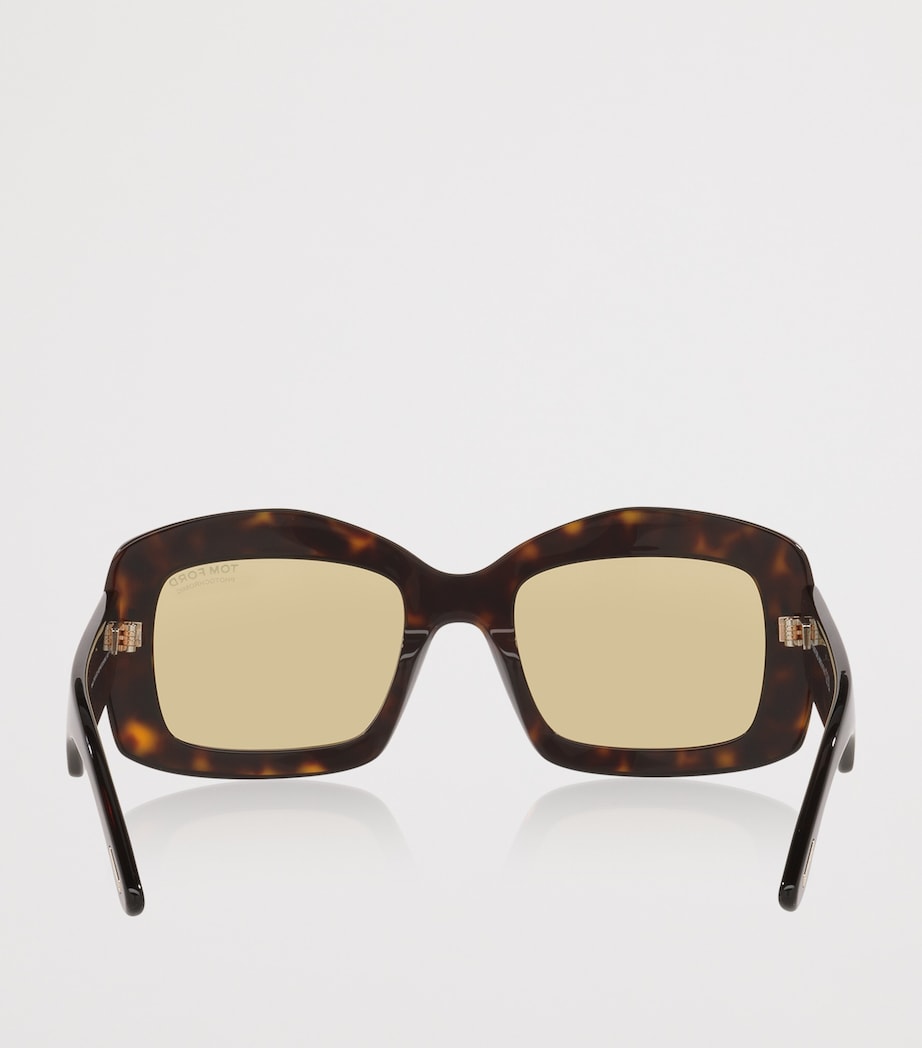 Brown Acetate Venetia Sunglasses