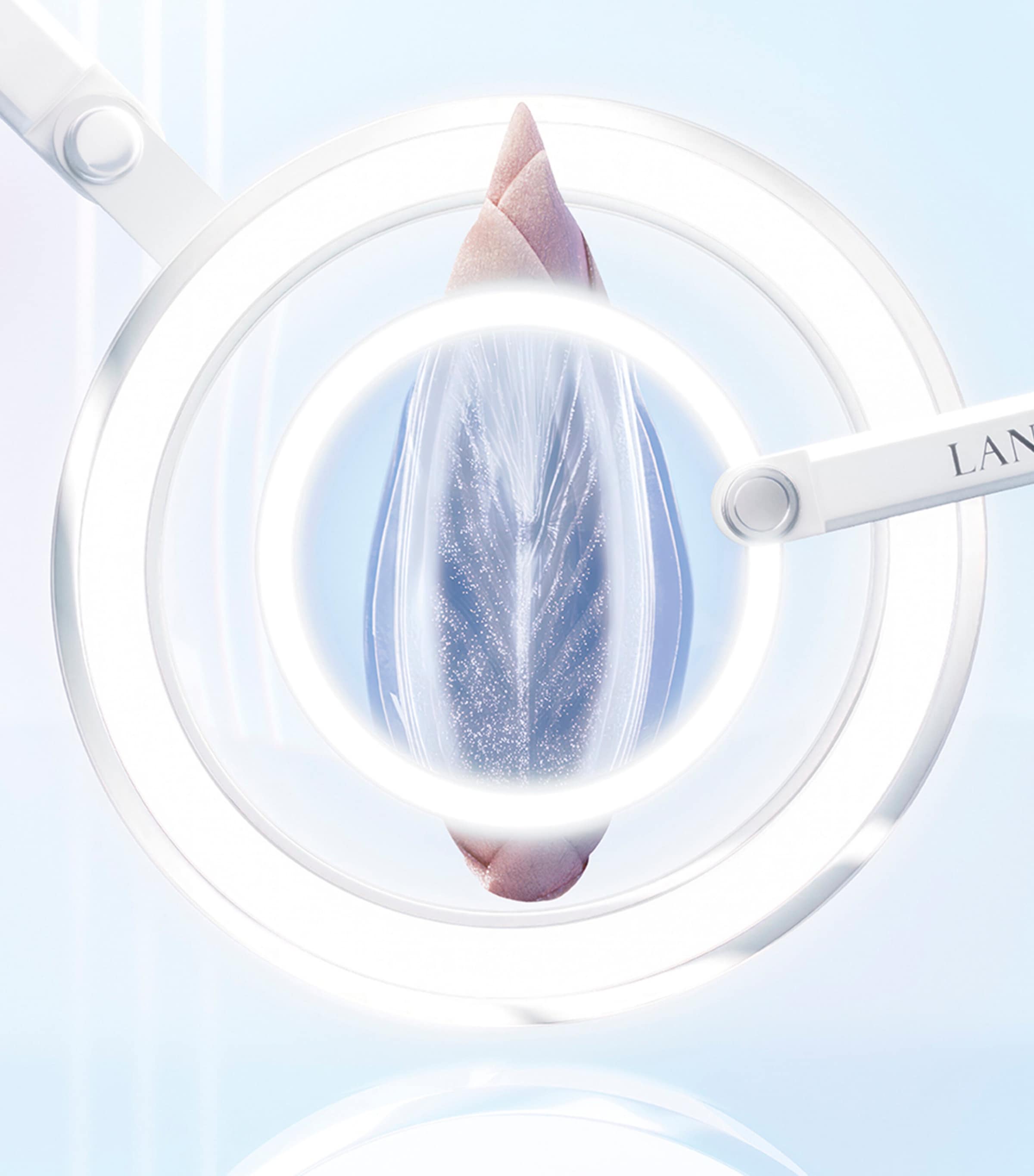 Lancôme Clarifique Brightening Plumping Milky Cream (50ml)