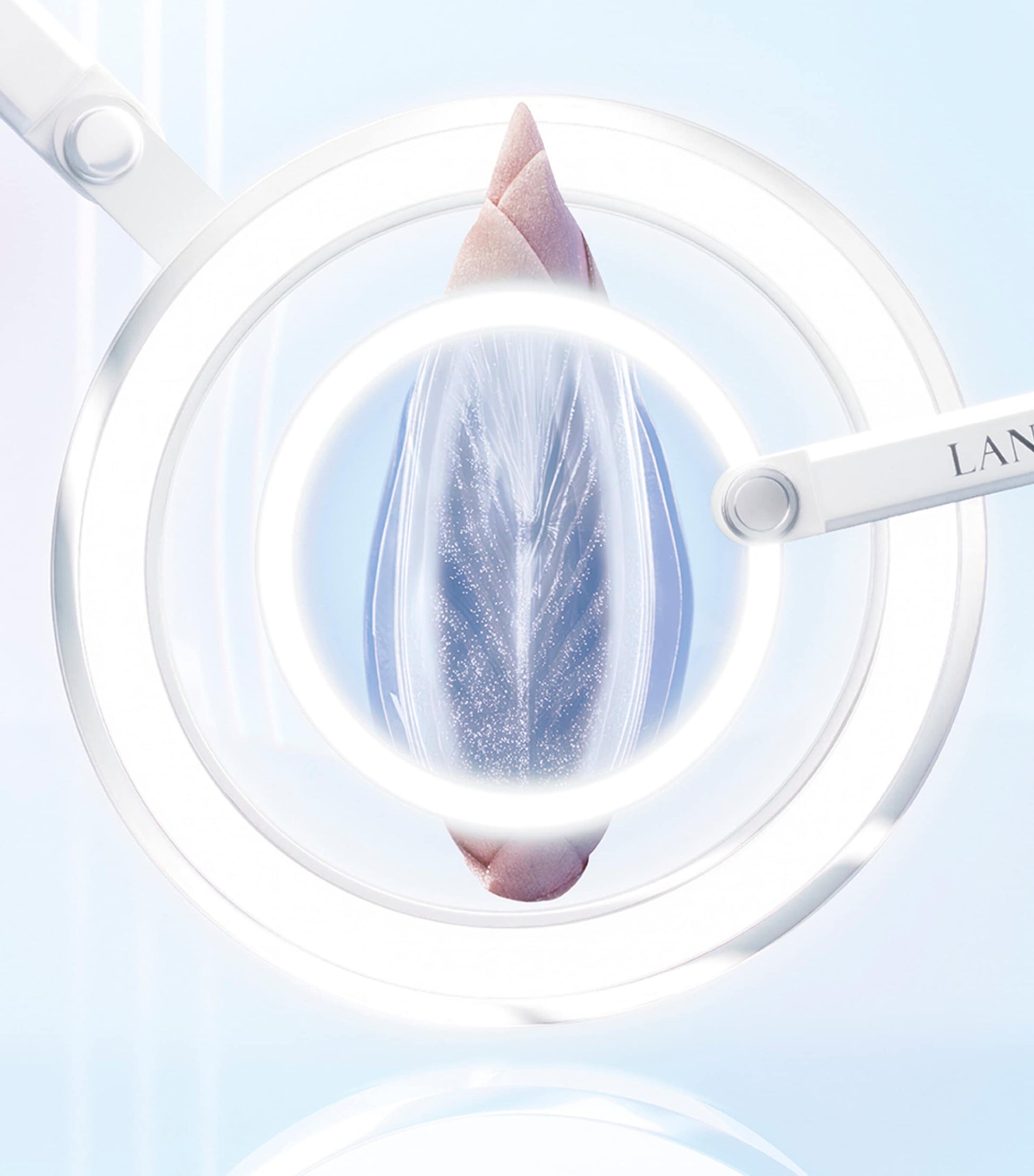 Lancôme Clarifique Brightening Plumping Milky Cream (50ml)