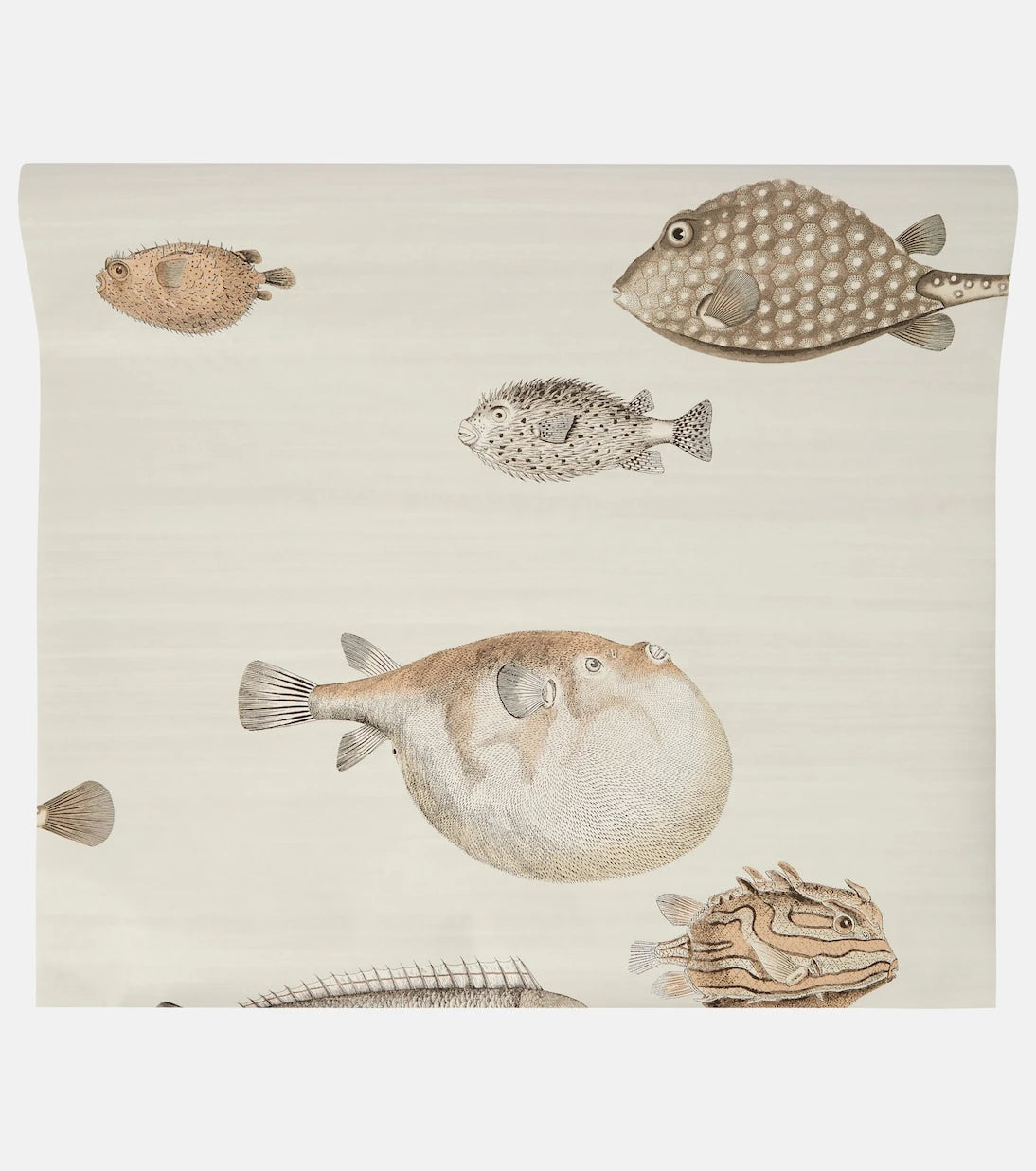 Fornasetti - x Cole & Son Acquario printed wallpaper