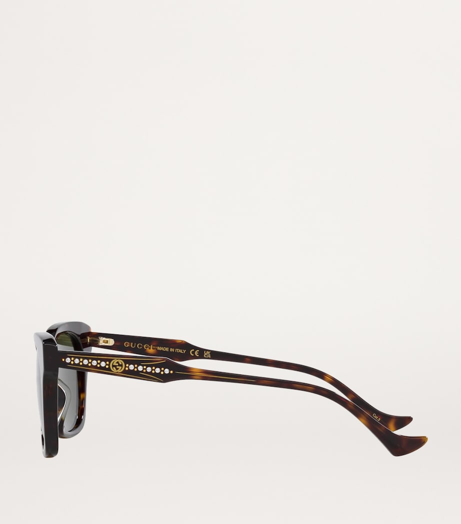 Brown Acetate 0GC002071 Sunglasses