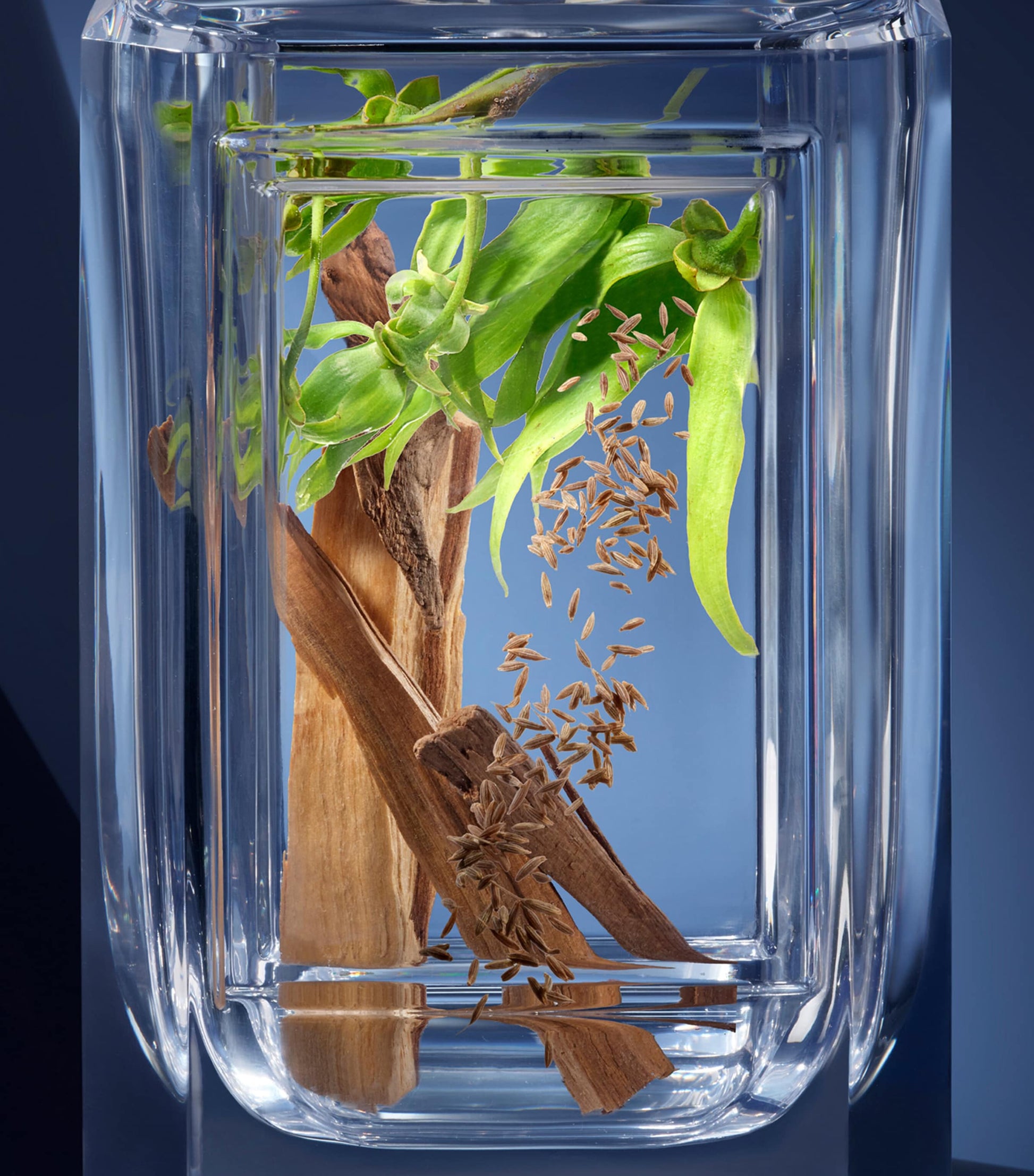 Olfactory Les Mirages Soleil Zenith (100ml)