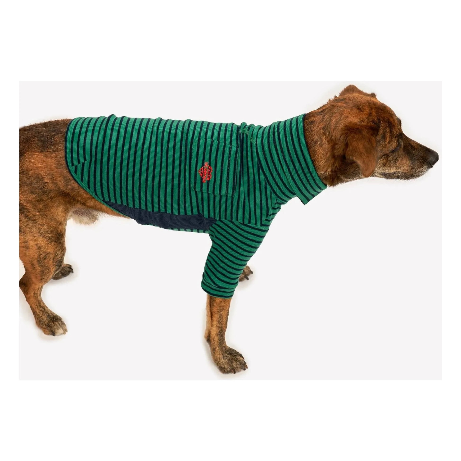 The Furry Folks - Striped sweater | Green