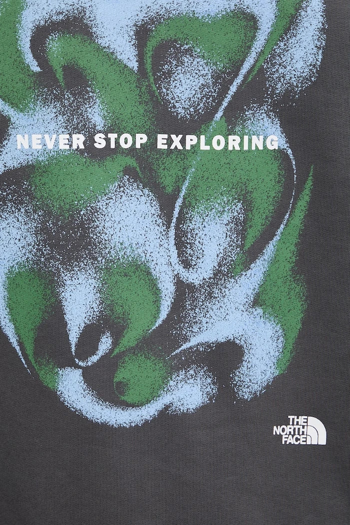 The North Face капüşonlu erkek pamuklu 1966 MOTION sweatshirt