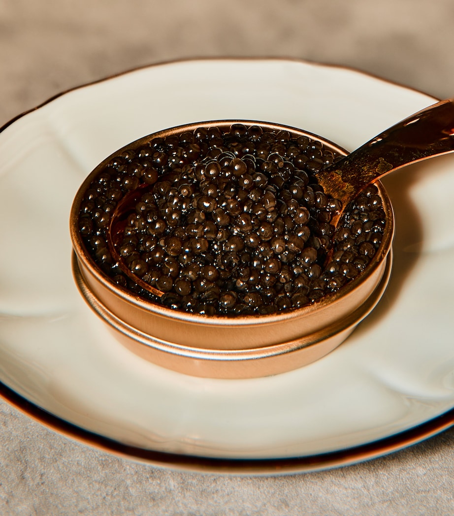 Harrods Beluga Caviar (30g)