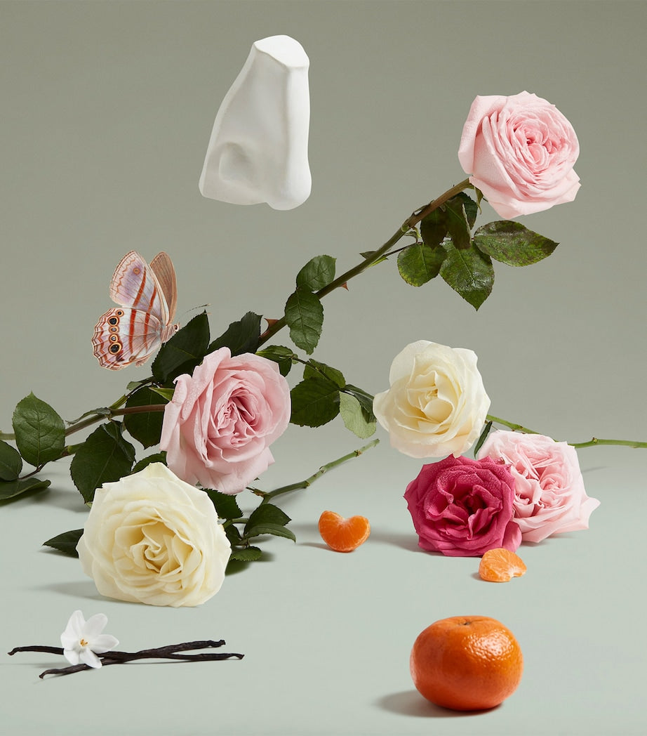 The Coveted Duchess Rose Eau de Parfum (75ml)