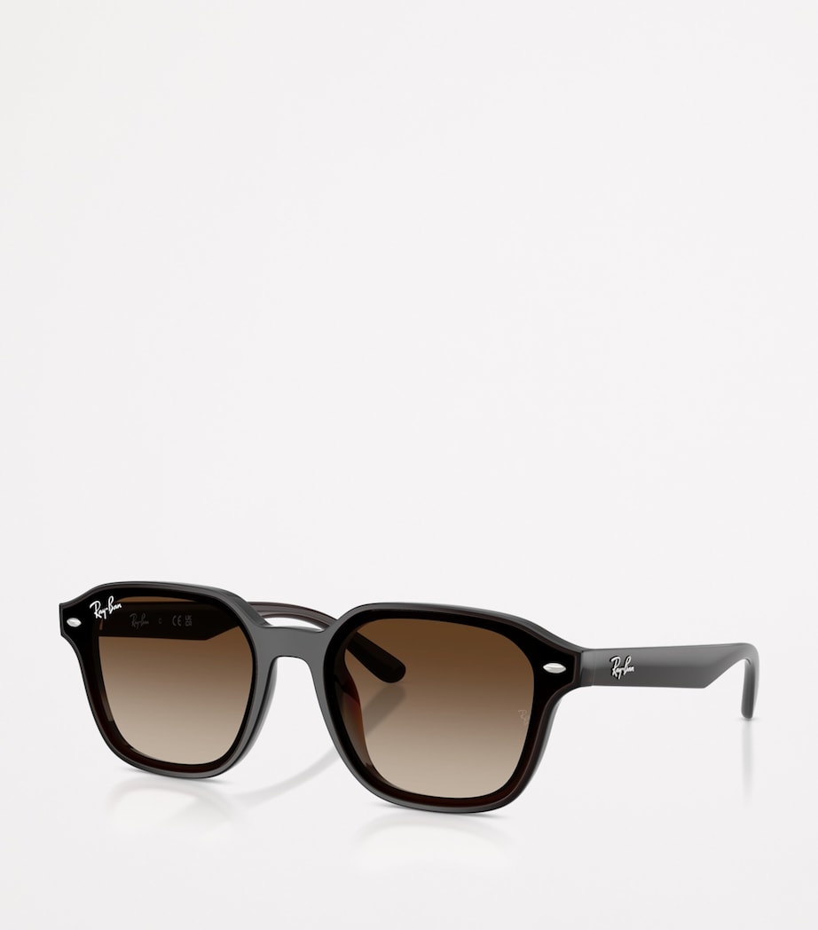 Ray-Ban Brown RB4458D Square Sunglasses