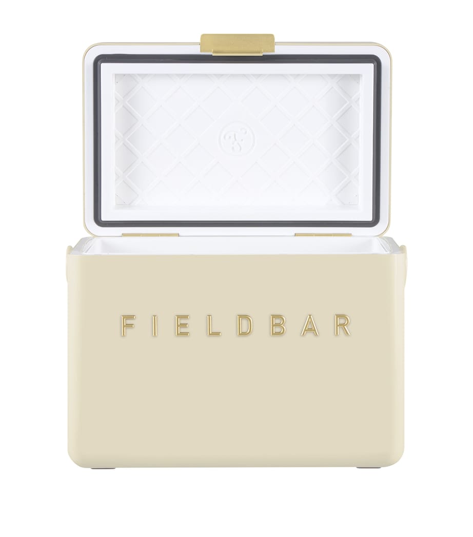 Mini Bar Cooler Box with Leather Sling (4L)