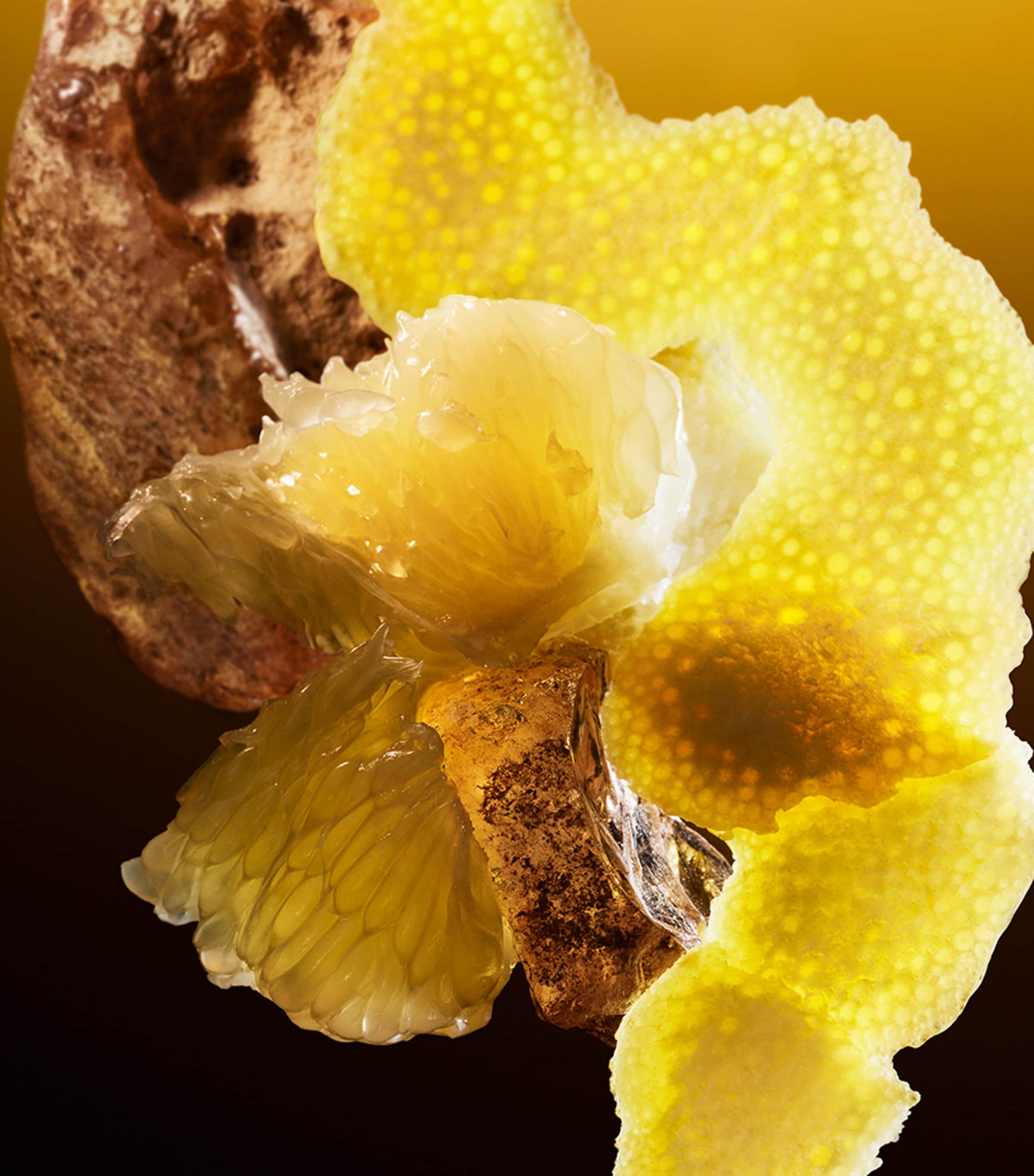 Le Gemme Tygar Eau de Parfum