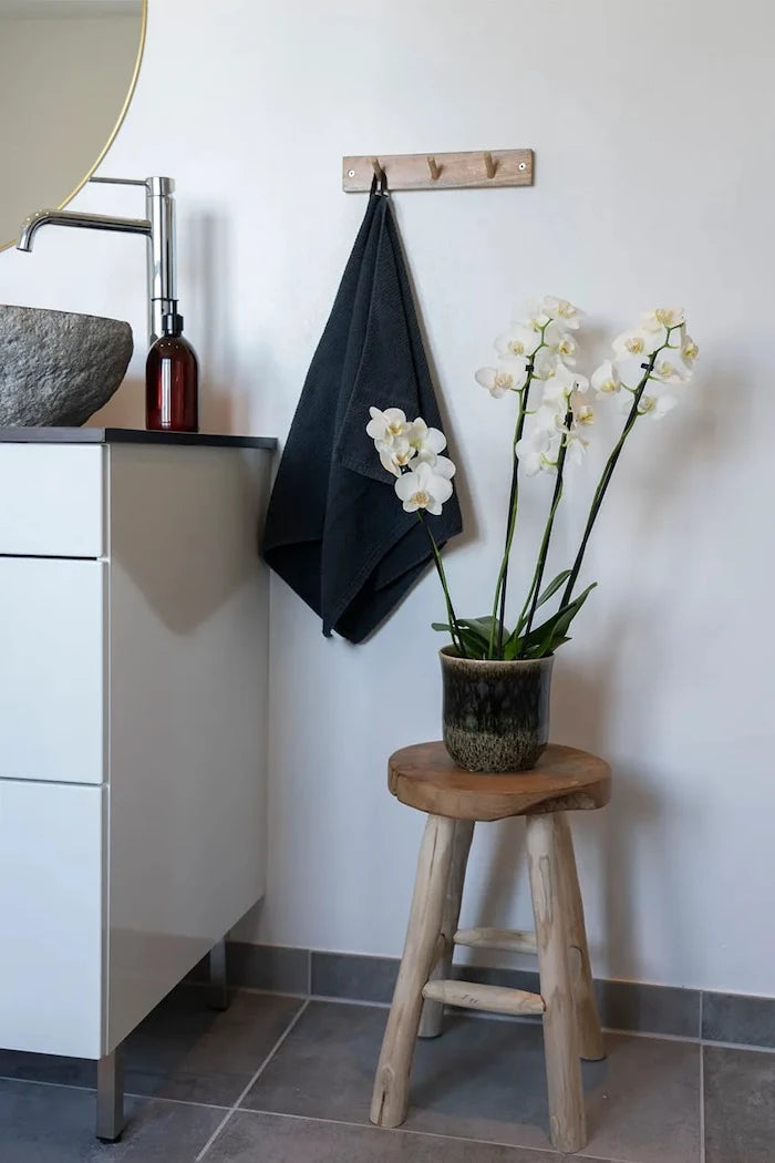 House Nordic Badia Taburesi