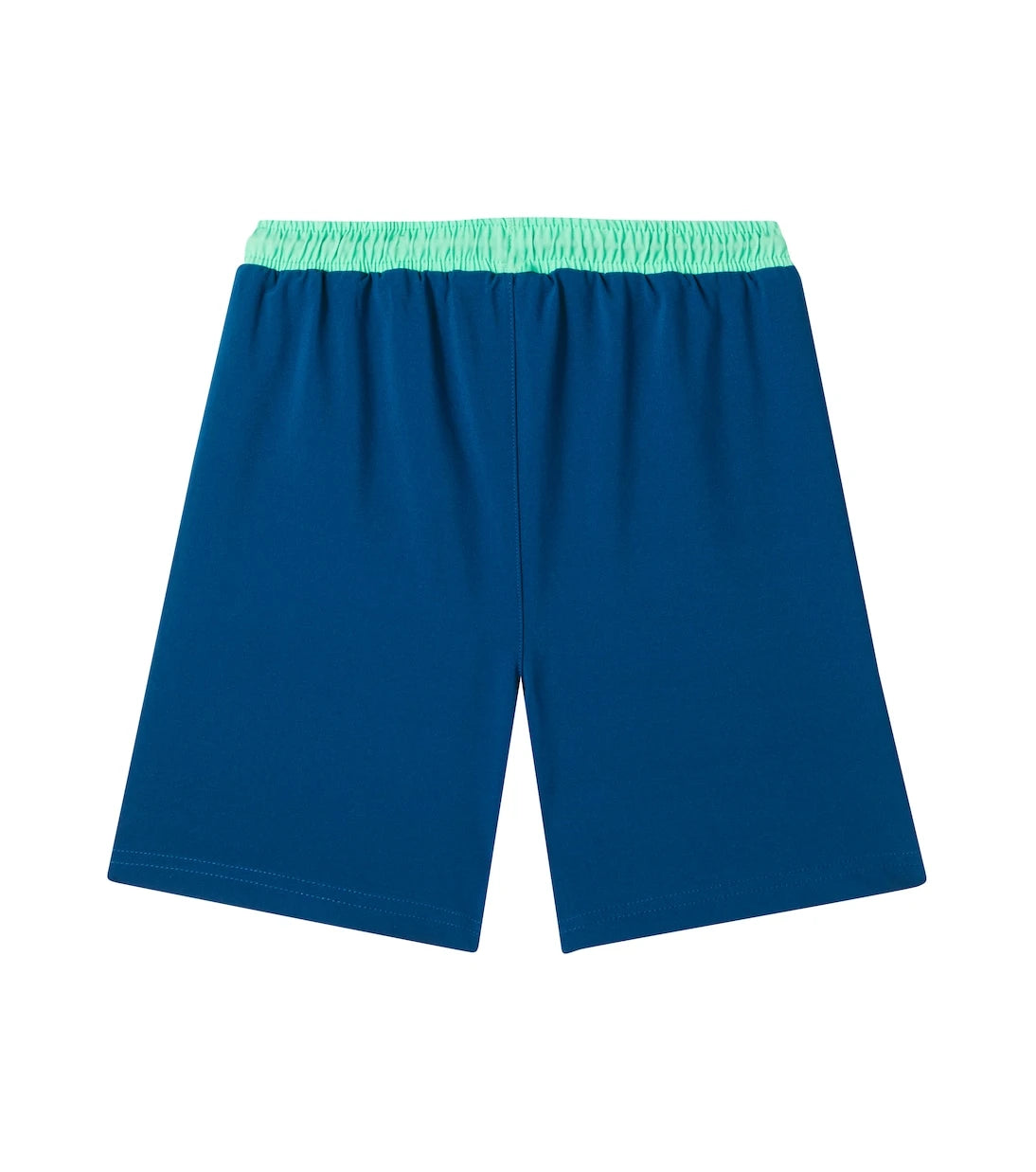 Roarsome - Spike The Dinosaur swim trunks