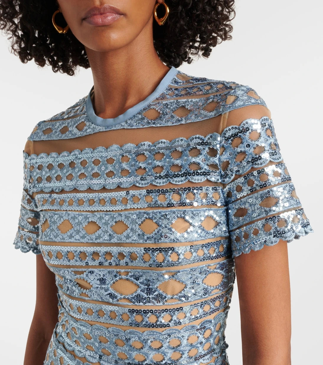Elie Saab - Embroidered tulle maxi dress