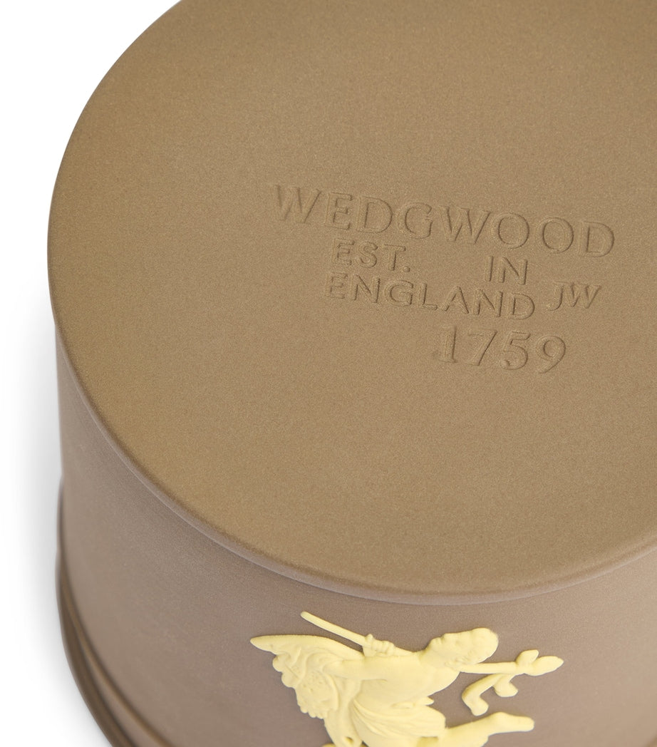 Bacchus Vigour Candle (540g)