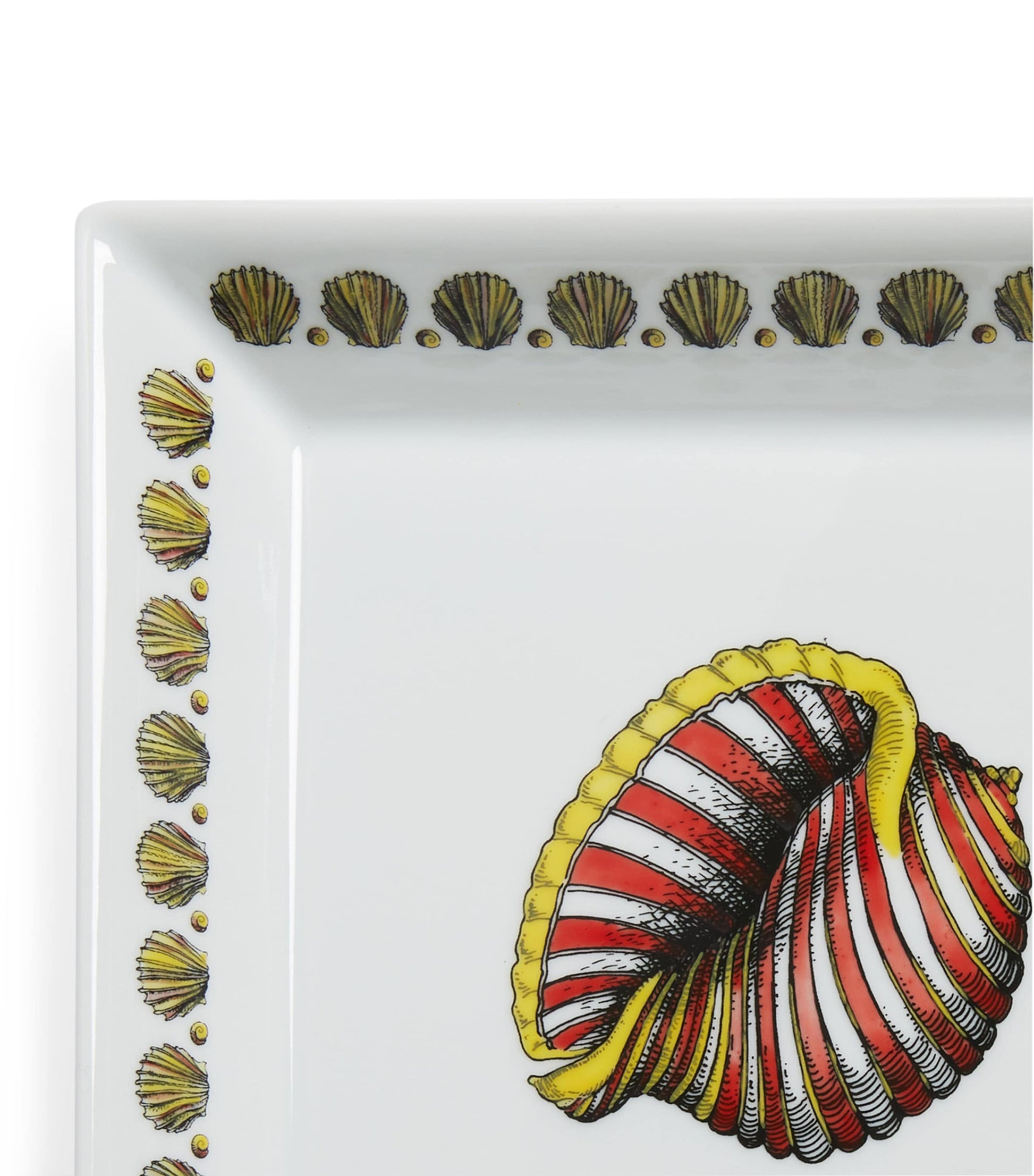 Square Giro di Conchiglie Plate (20cm x 20cm)