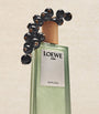 LOEWE Aire Sutileza Eau de Toilette (50ml)