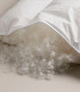 Super King Siberian Goose Down Duvet (4.5 Tog)