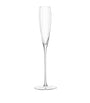 Set of 2 Aurelia Flute Glasses (165ml)
