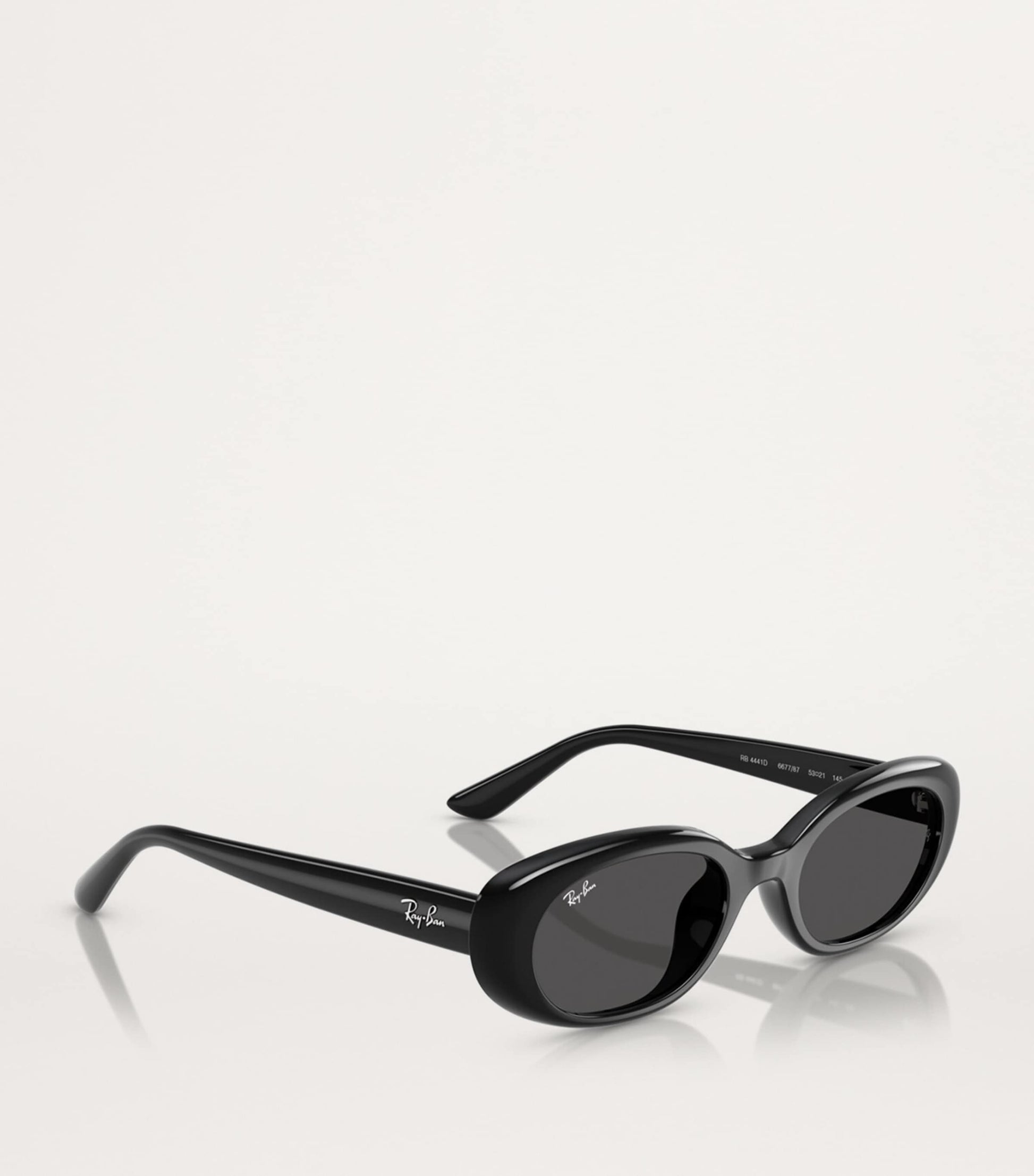Ray-Ban Black RB4441D Sunglasses
