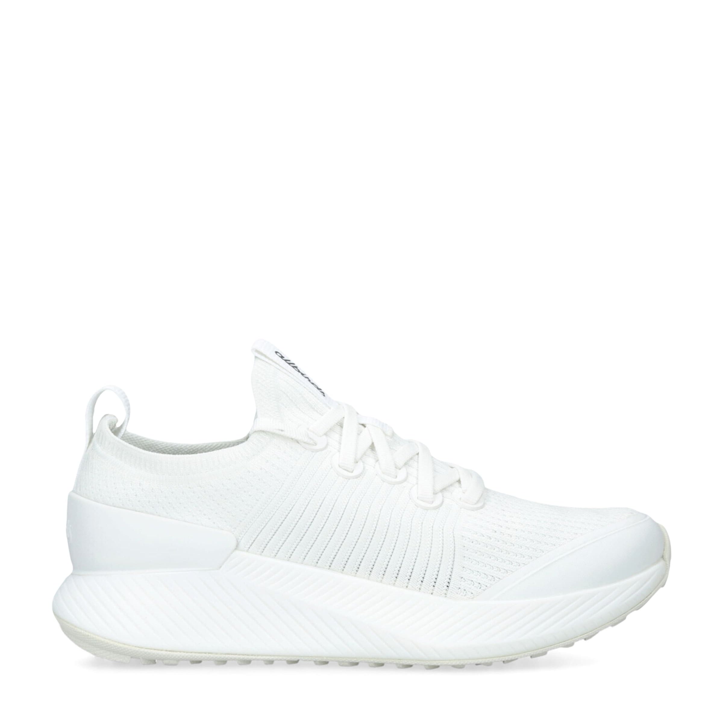 Allbirds White Tree Glider Low-Top Sneakers