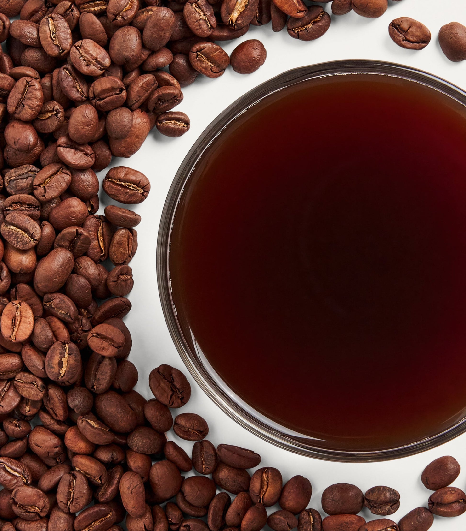 Finca El Saman Papayo Coffee Beans (250g)