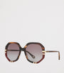 Brown Acetate 06N000422 Sunglasses