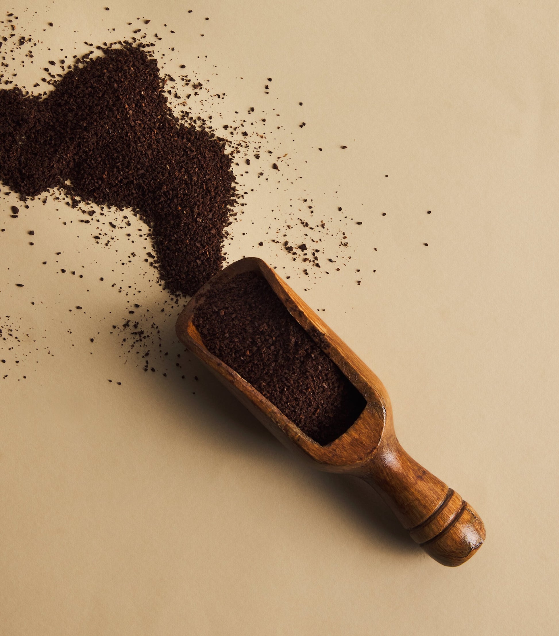 Harrods No. 49 Blend Omni Grind Coffee (250g)