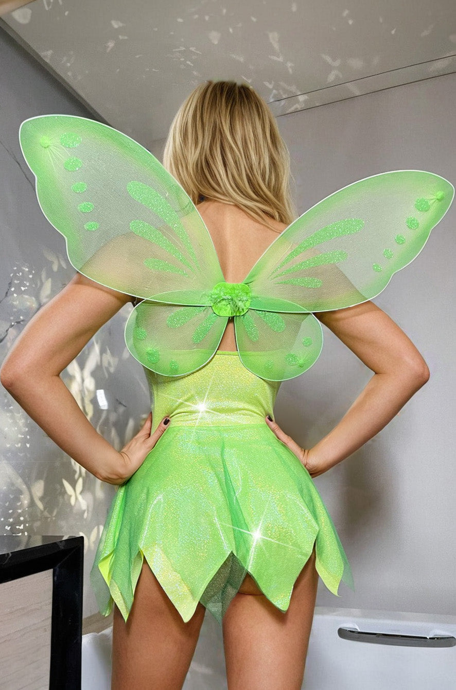 Pretty Pixie Halloween Costume