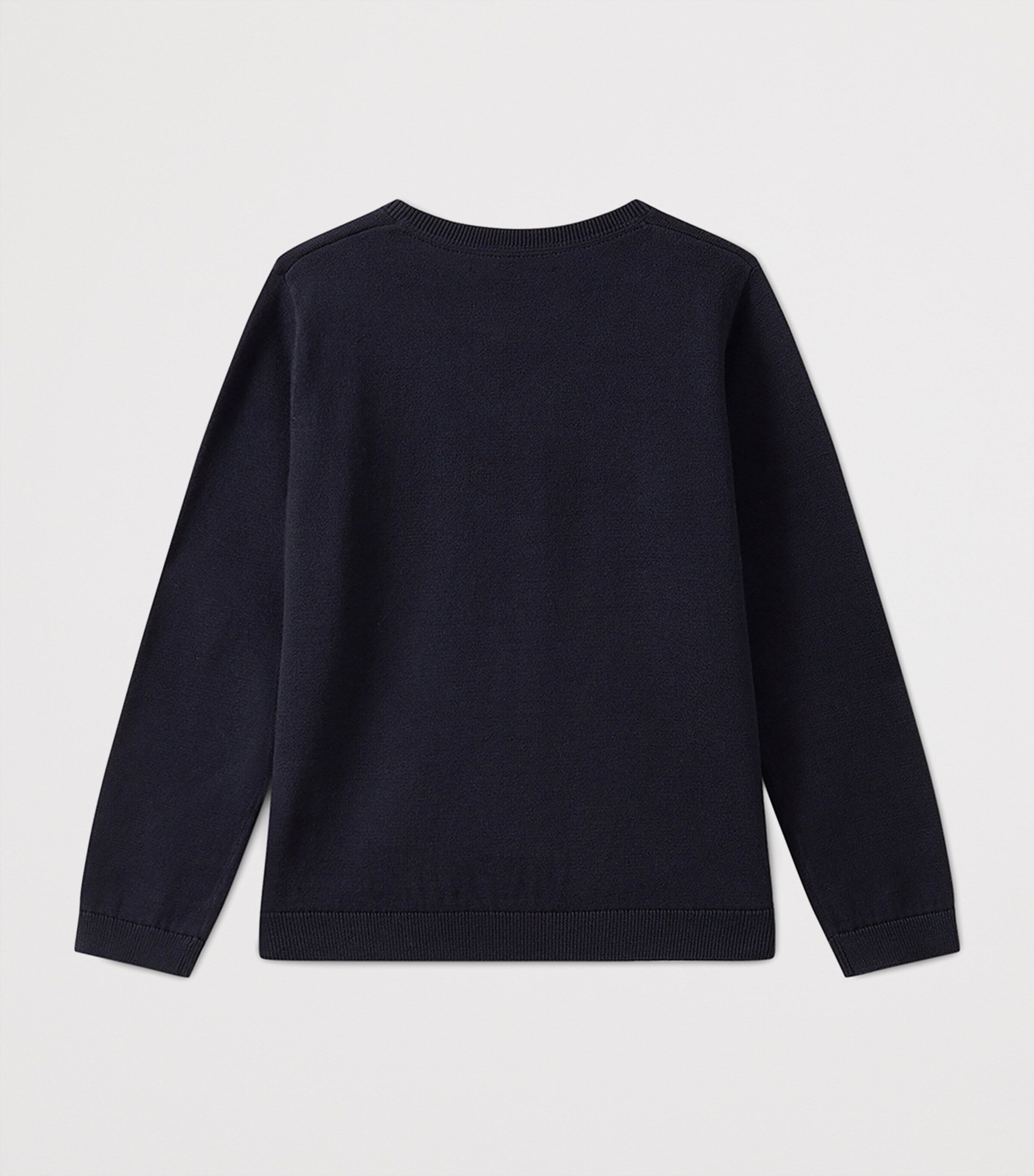 Cotton V-Neck Sweater (10-12 Years)