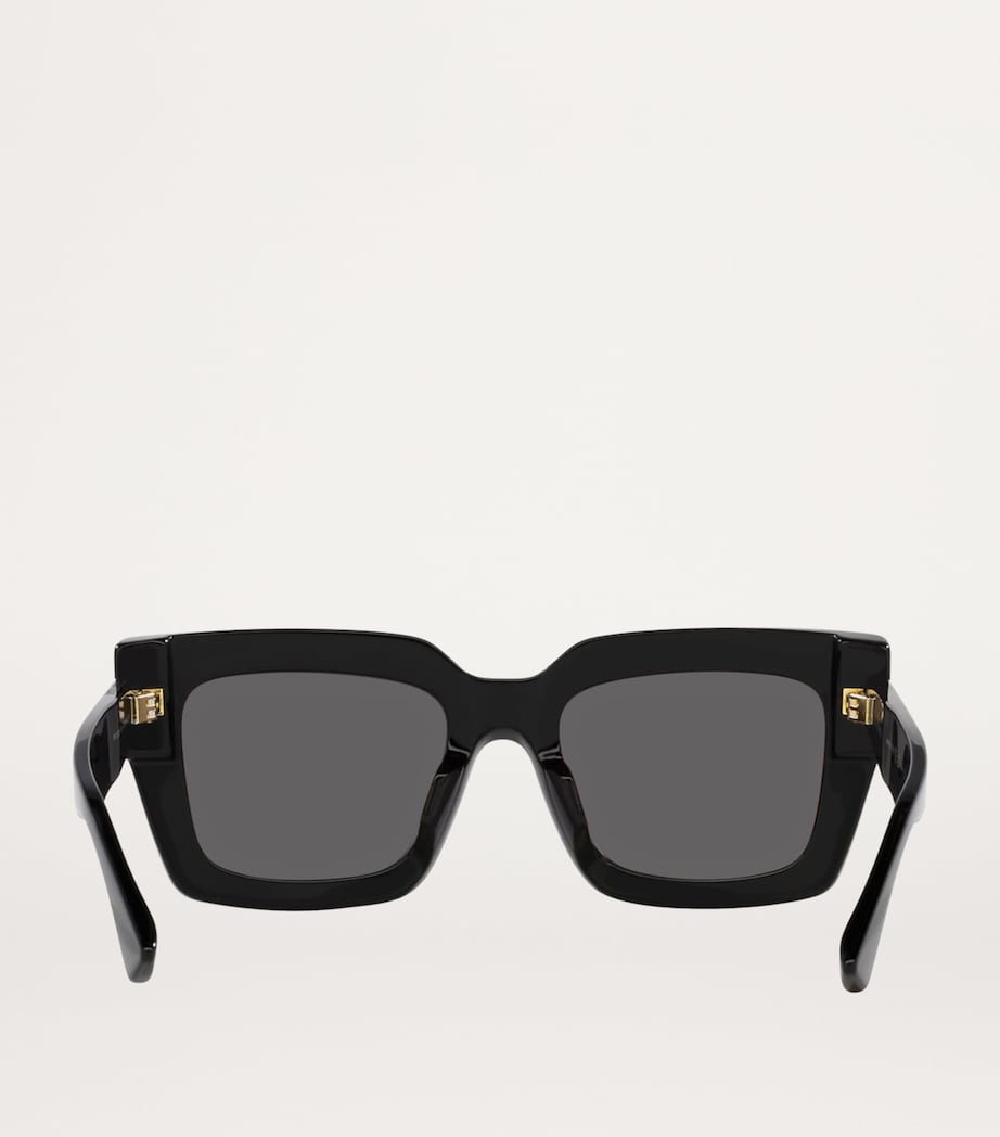 Acetate 06J000394 Sunglasses