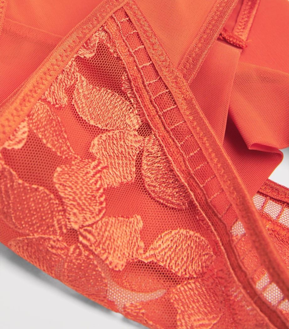 Maison Lejaby Orange Embroidered Magnolia Tanga